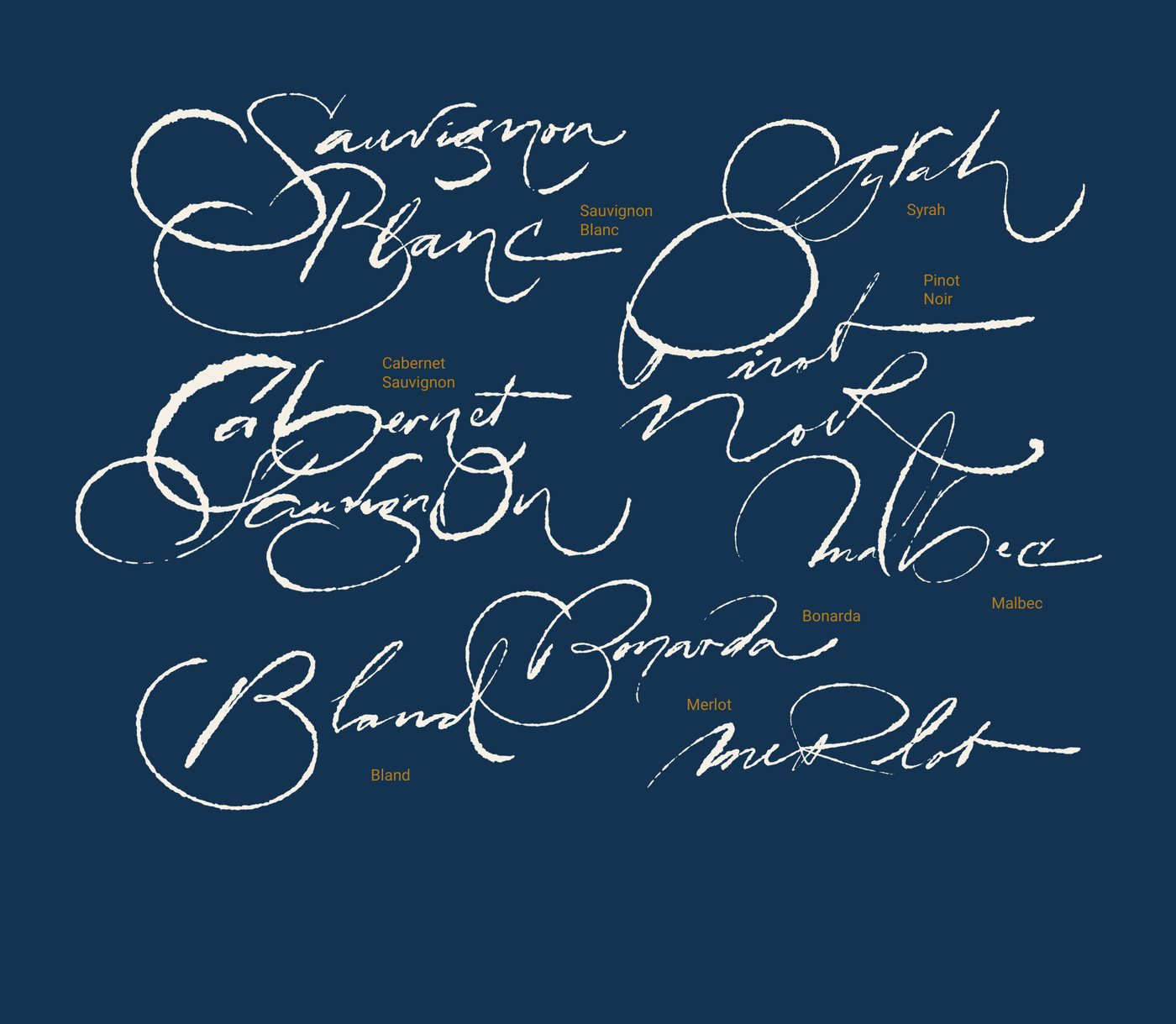ODA Vinoteca · Lettering