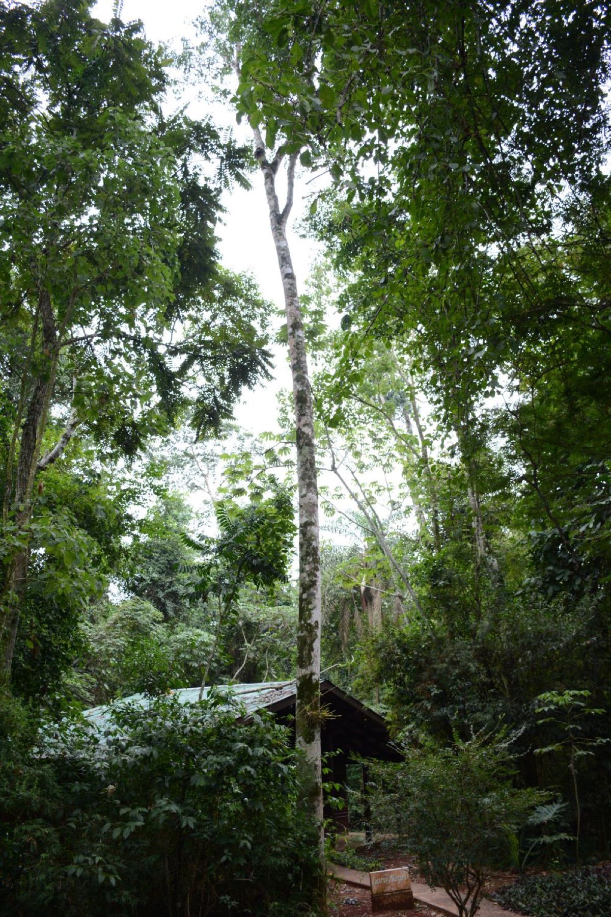 Cabañas