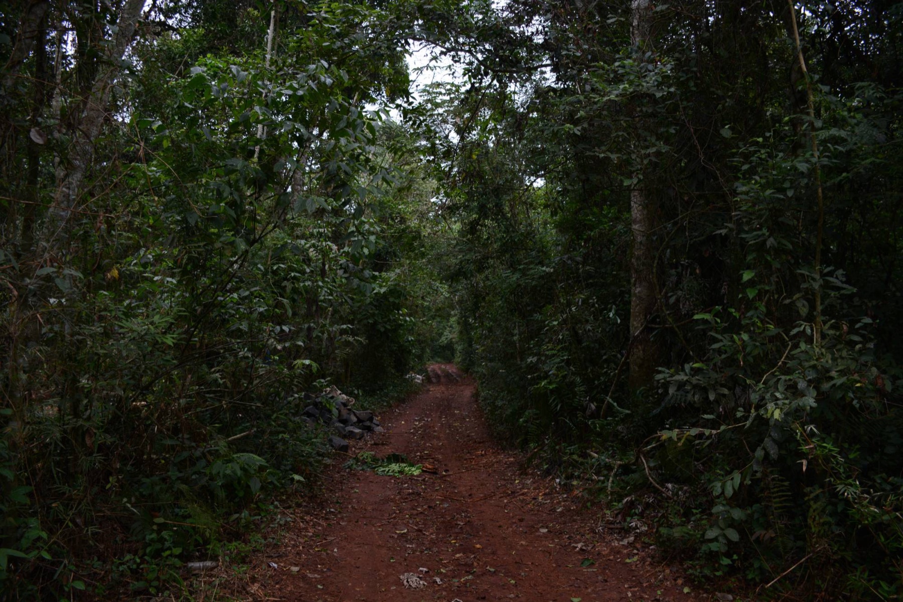 Tierra roja