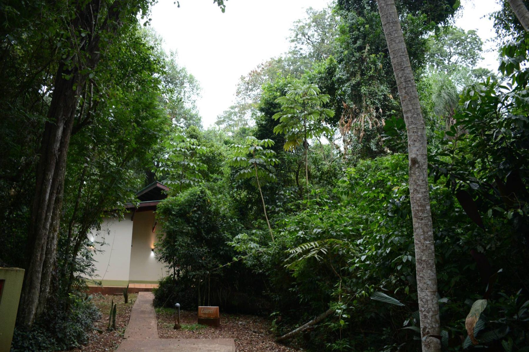 Habitación Laurel